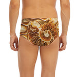 Ammonite Fossil Print Men's Briefs