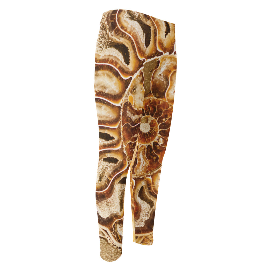 Ammonite Fossil Print Men's Compression Pants