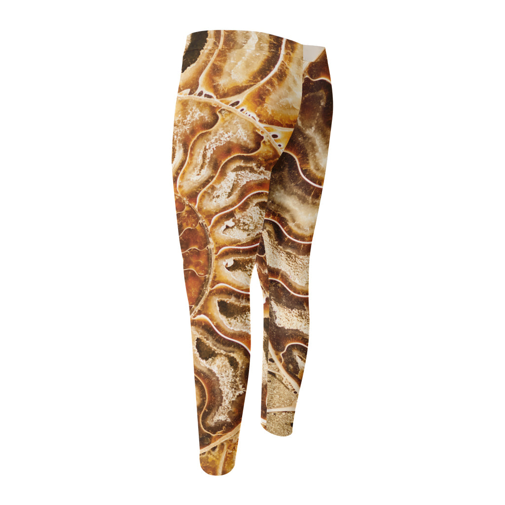 Ammonite Fossil Print Men's Compression Pants