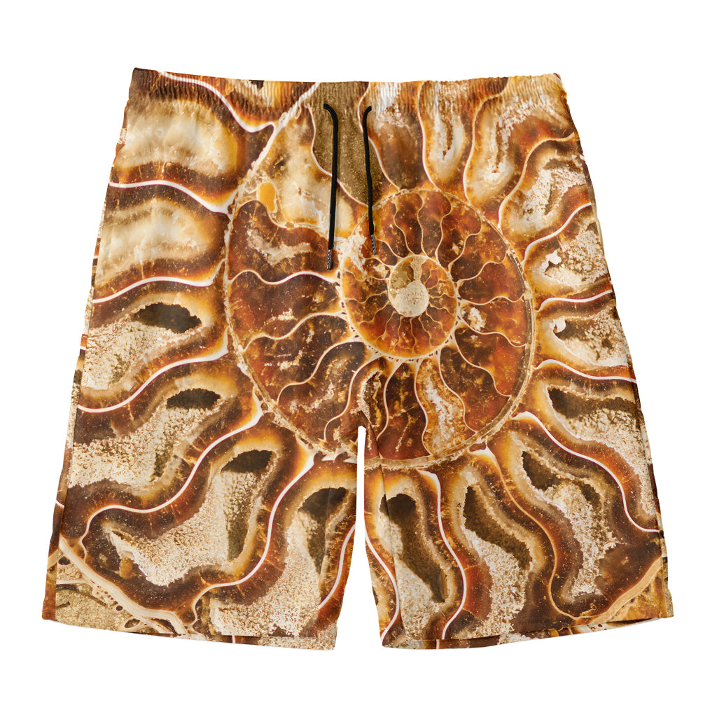 Ammonite Fossil Print Men's Swim Trunks
