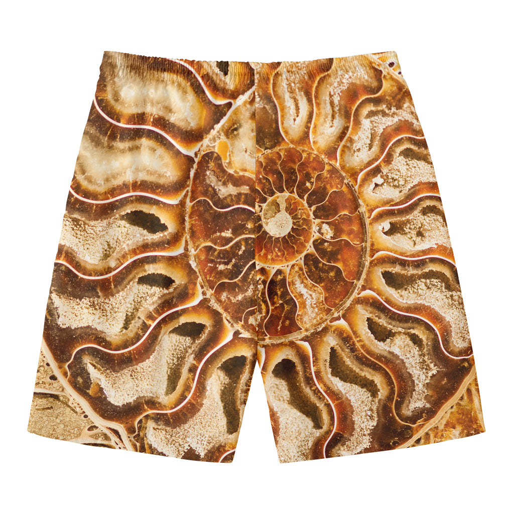 Ammonite Fossil Print Men's Swim Trunks