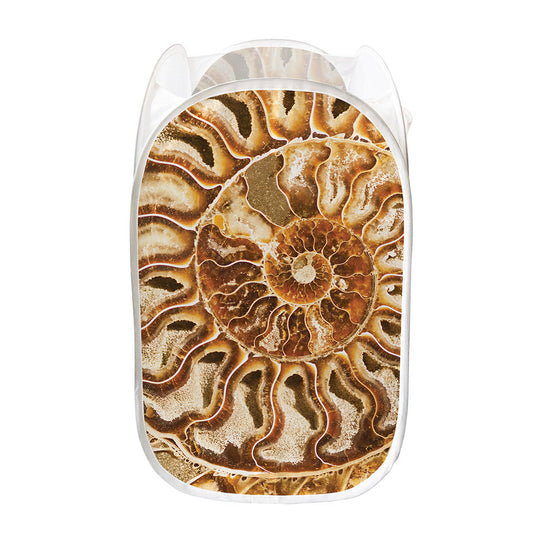Ammonite Fossil Print Mesh Laundry Hamper