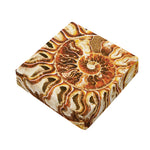 Ammonite Fossil Print Outdoor Seat Cushion Cover