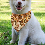Ammonite Fossil Print Over The Collar Dog Bandana