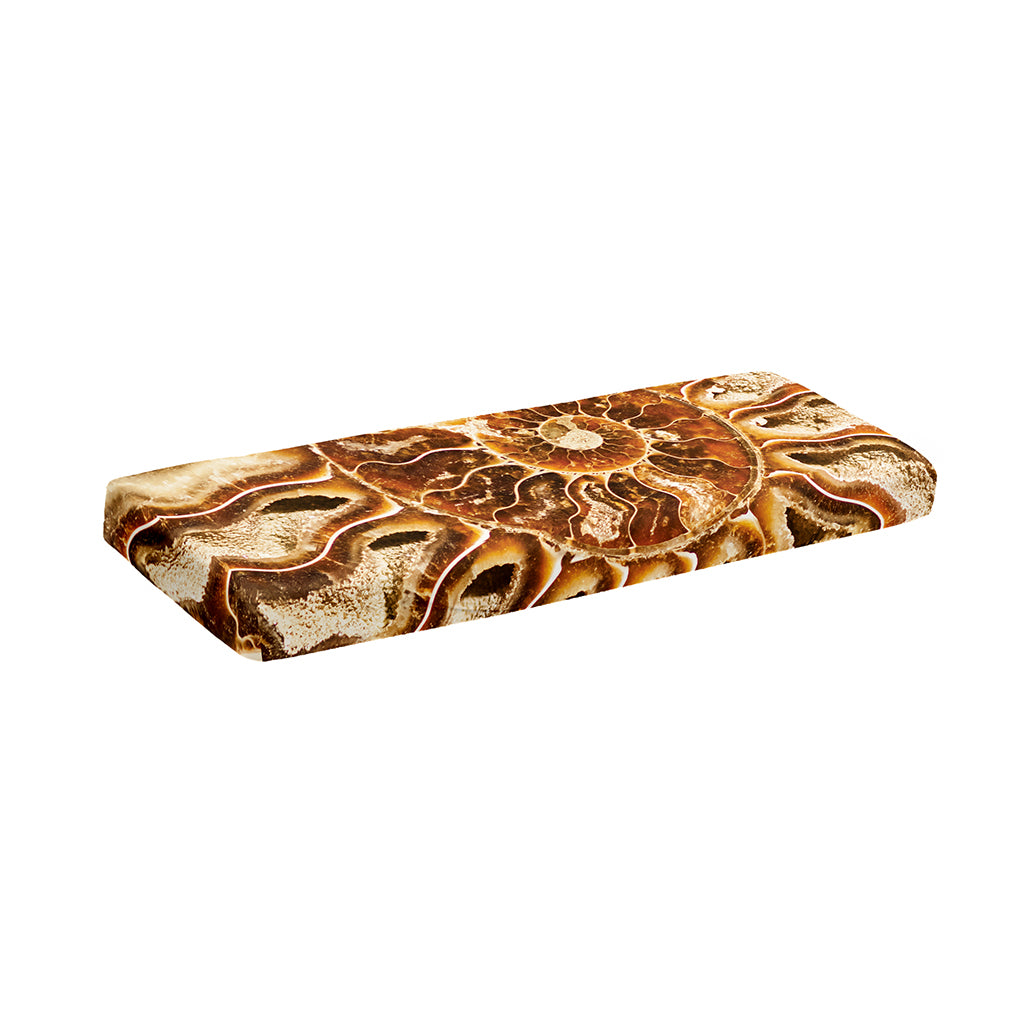 Ammonite Fossil Print Piano Keyboard Cover