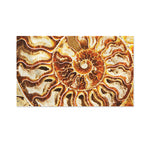 Ammonite Fossil Print Polyester Flag