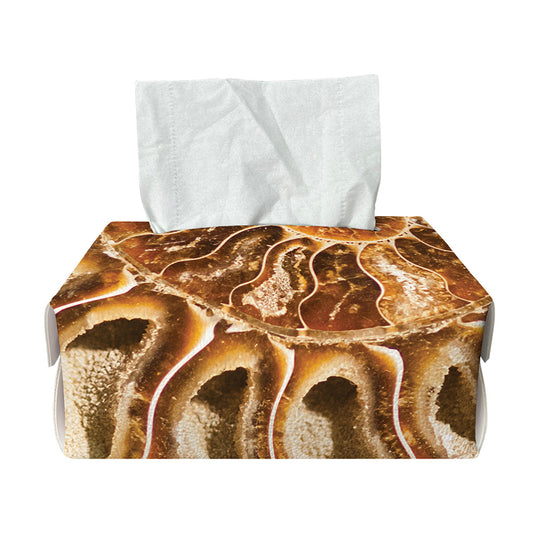 Ammonite Fossil Print Rectangle Tissue Box Cover