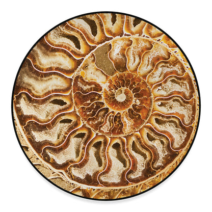 Ammonite Fossil Print Round Floor Mat