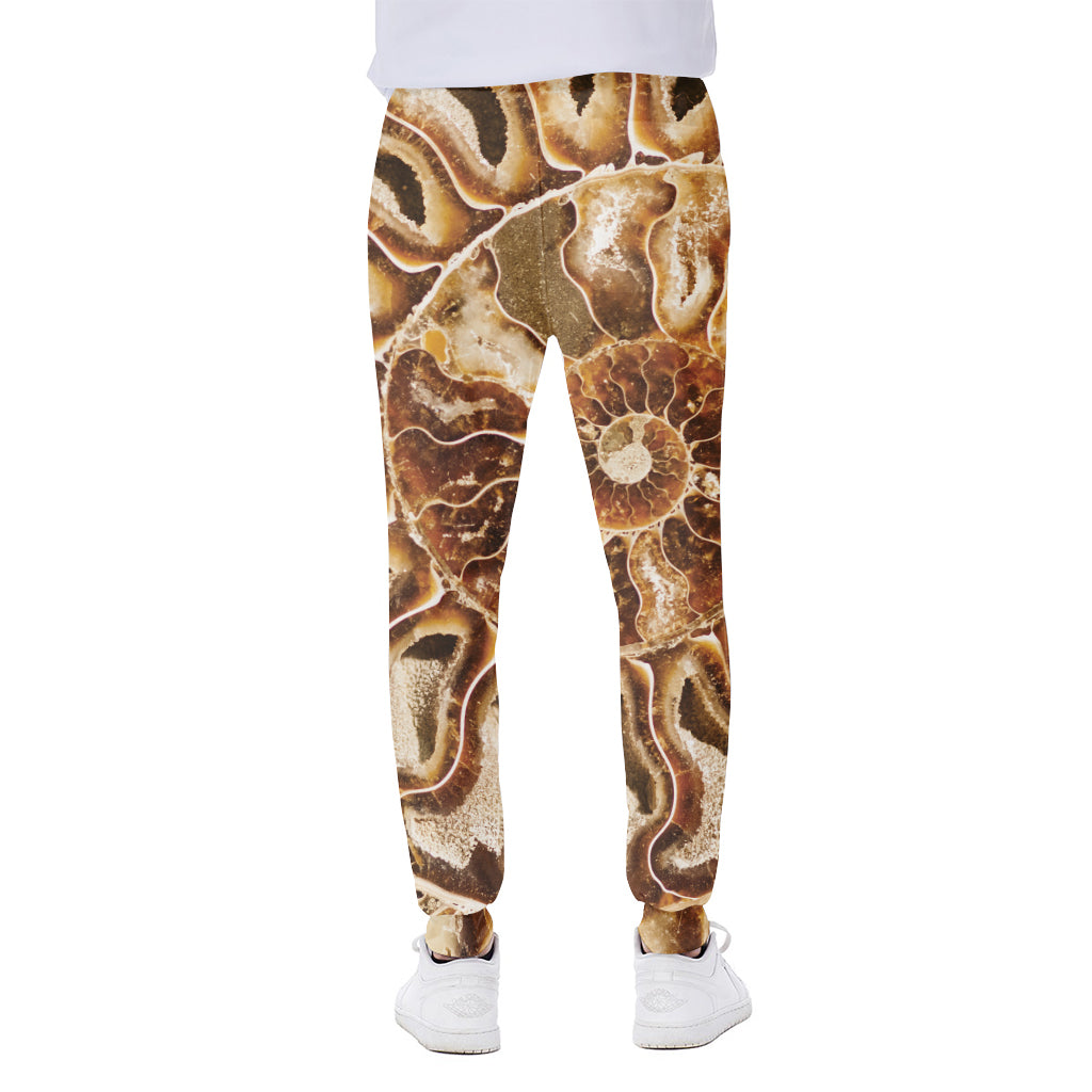 Ammonite Fossil Print Scuba Joggers