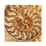 Ammonite Fossil Print Silk Bandana