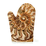 Ammonite Fossil Print Single Oven Mitt