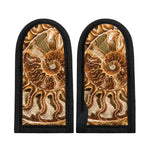 Ammonite Fossil Print Skillet Handle Cover