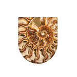 Ammonite Fossil Print Toilet Lid Cover