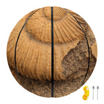 Ammonite Shell Fossil Print Basketball