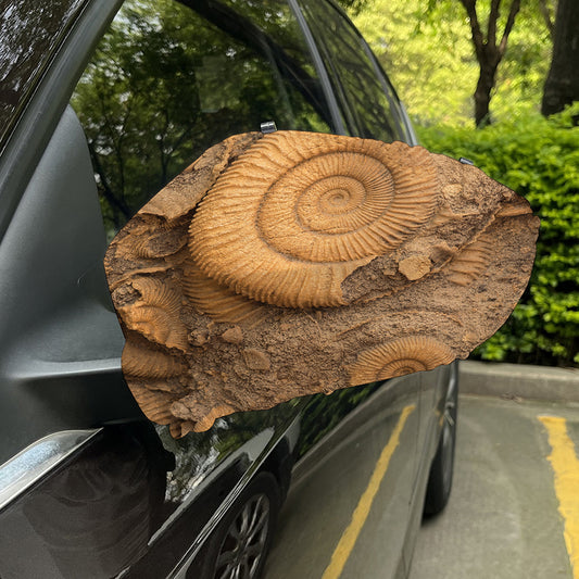 Ammonite Shell Fossil Print Car Side Mirror Covers