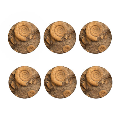 Ammonite Shell Fossil Print Coaster Set