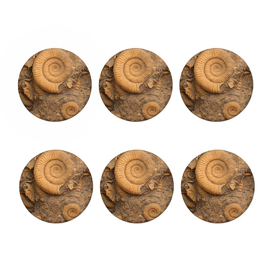 Ammonite Shell Fossil Print Coaster Set