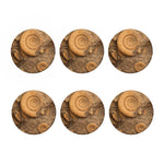 Ammonite Shell Fossil Print Coaster Set