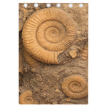 Ammonite Shell Fossil Print Curtain
