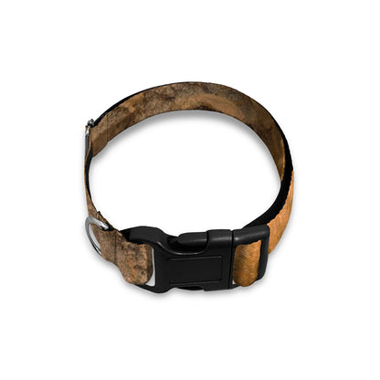 Ammonite Shell Fossil Print Dog Collar