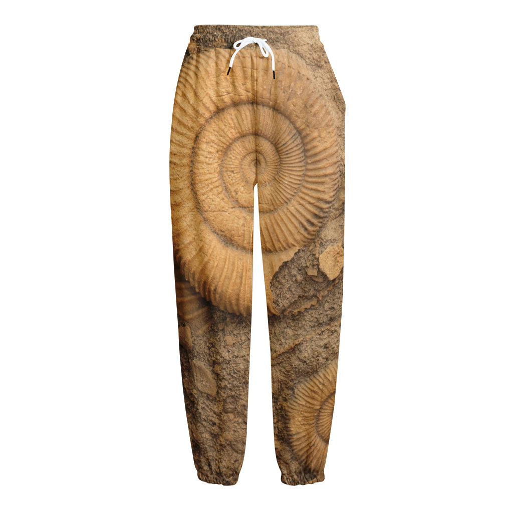Ammonite Shell Fossil Print Fleece Lined Knit Pants