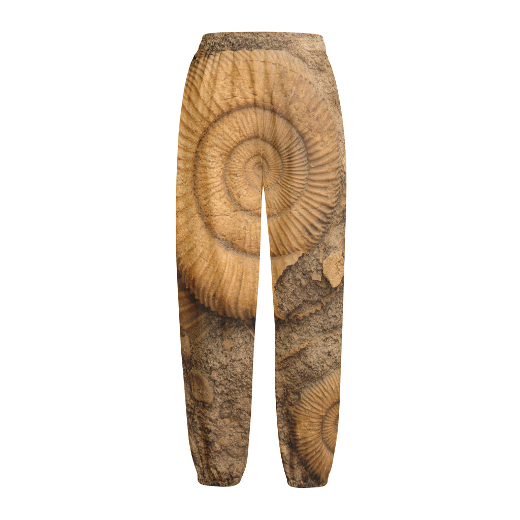 Ammonite Shell Fossil Print Fleece Lined Knit Pants