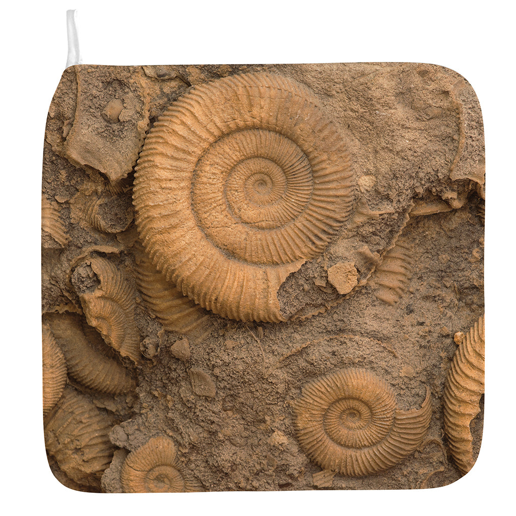 Ammonite Shell Fossil Print Hand Towel