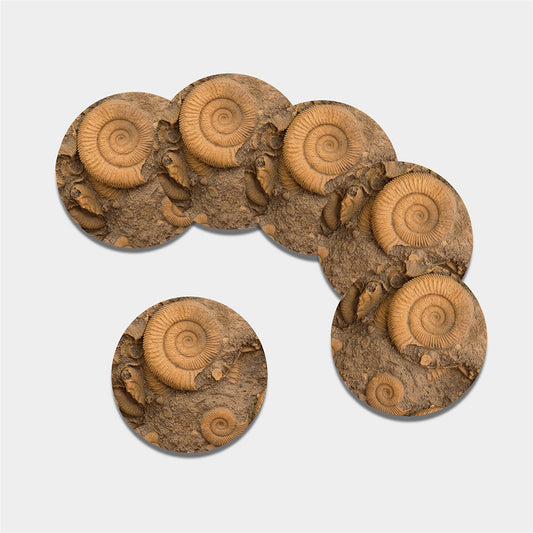 Ammonite Shell Fossil Print Leather Coaster Set