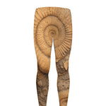 Ammonite Shell Fossil Print Men's leggings