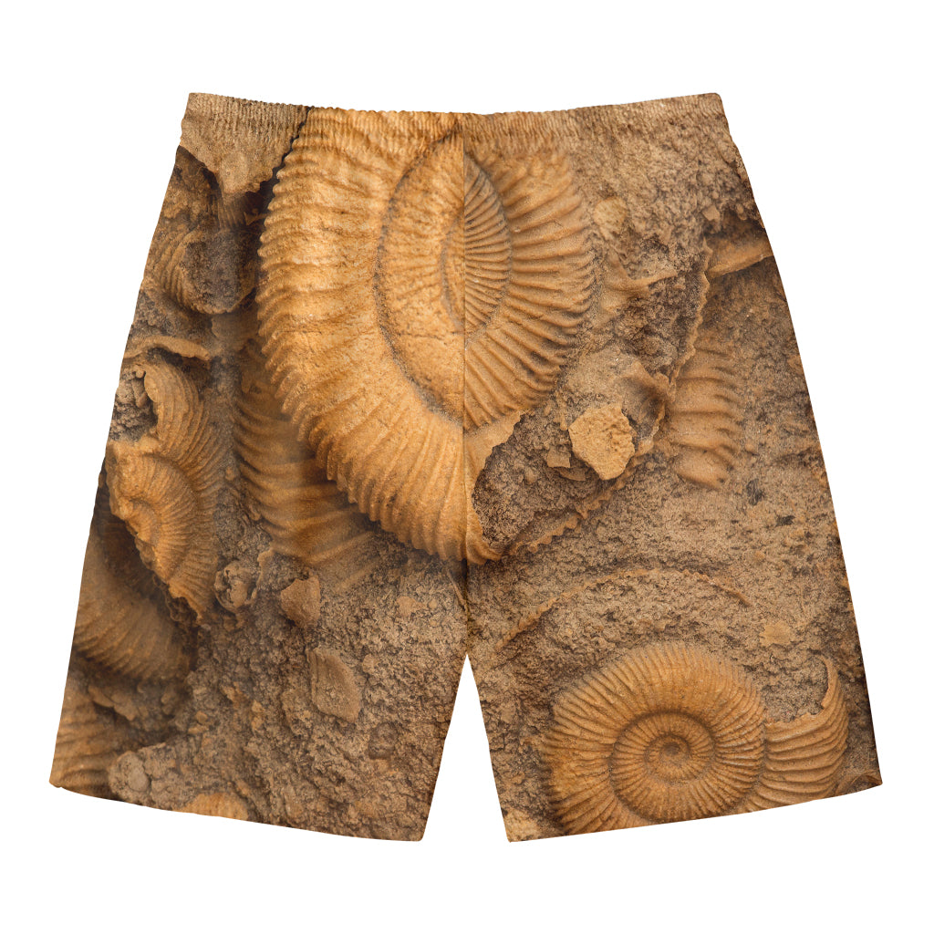 Ammonite Shell Fossil Print Men's Swim Trunks
