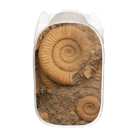 Ammonite Shell Fossil Print Mesh Laundry Hamper
