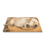 Ammonite Shell Fossil Print Pet Cooling Mat Cover