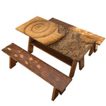 Ammonite Shell Fossil Print Picnic Table Cover