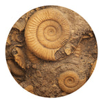 Ammonite Shell Fossil Print Round Blanket
