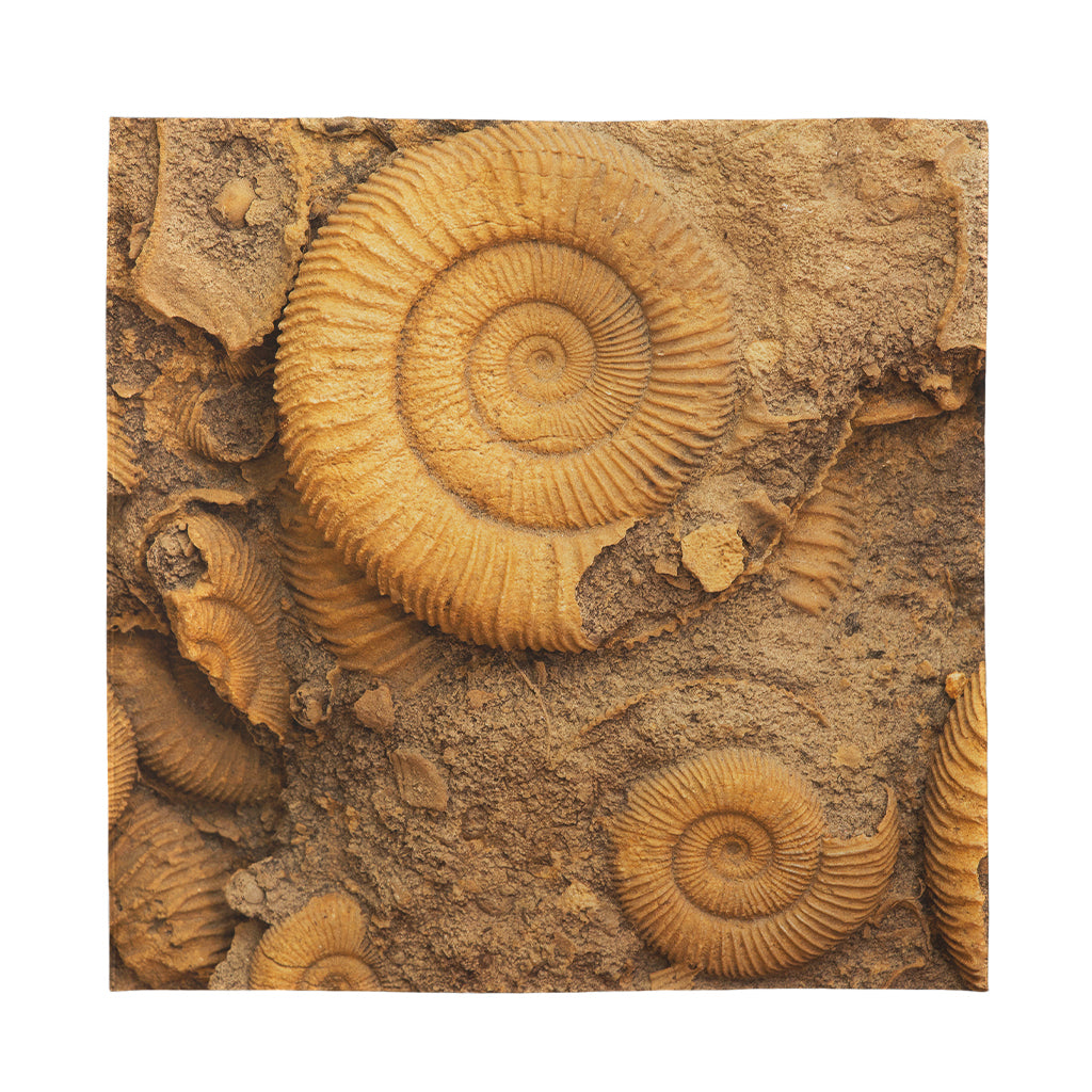 Ammonite Shell Fossil Print Silk Bandana