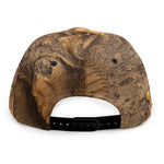 Ammonite Shell Fossil Print Snapback Cap