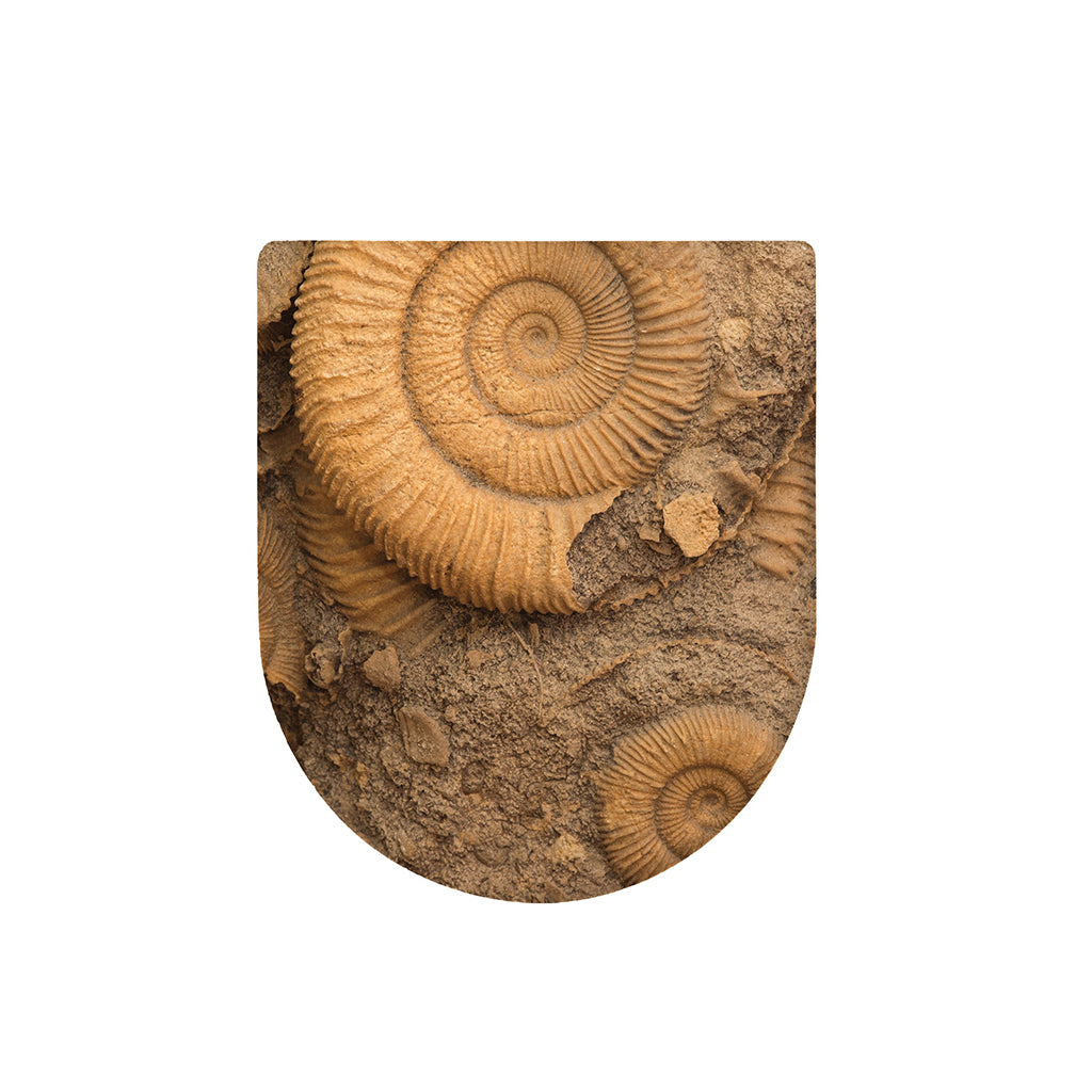 Ammonite Shell Fossil Print Toilet Lid Cover