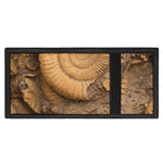 Ammonite Shell Fossil Print Trifold Wallet