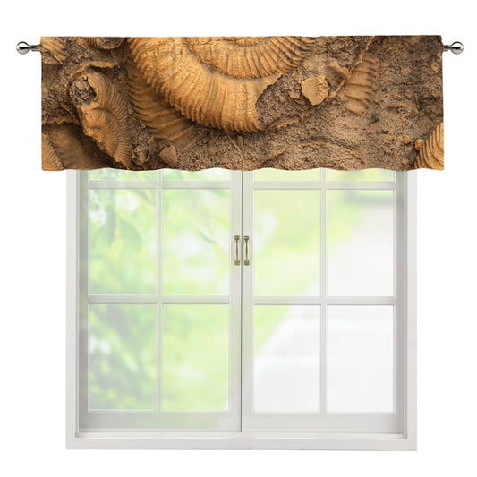 Ammonite Shell Fossil Print Window Valance