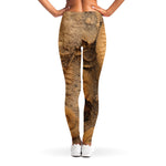 Ammonite Shell Fossil Print Women's Leggings