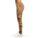 Ammonite Shell Fossil Print Women's Leggings