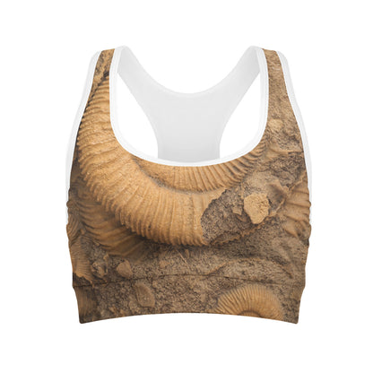 Ammonite Shell Fossil Print Women's Sports Bra