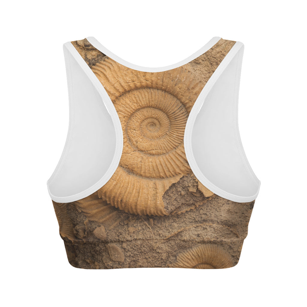 Ammonite Shell Fossil Print Women's Sports Bra