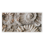 Ammonoidea Fossil Print Beach Towel