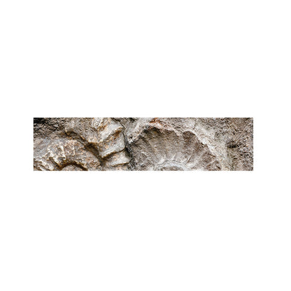 Ammonoidea Fossil Print Bed Runner