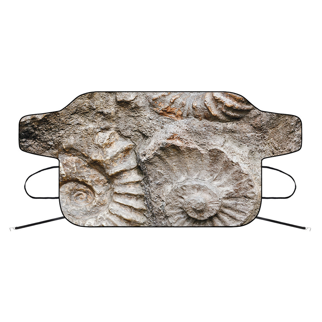 Ammonoidea Fossil Print Car Windshield Snow Cover