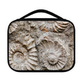 Ammonoidea Fossil Print Classic Bible Case
