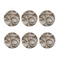 Ammonoidea Fossil Print Coaster Set