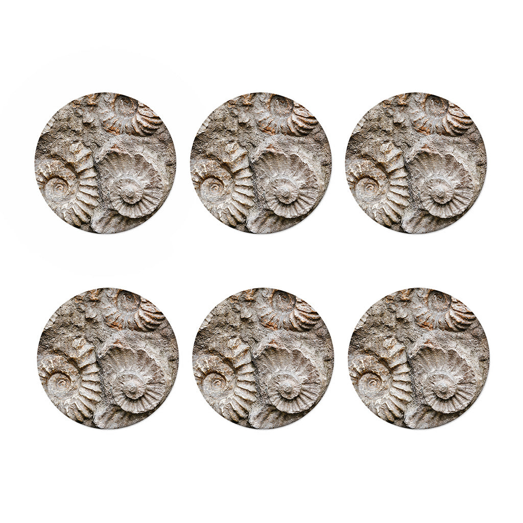 Ammonoidea Fossil Print Coaster Set