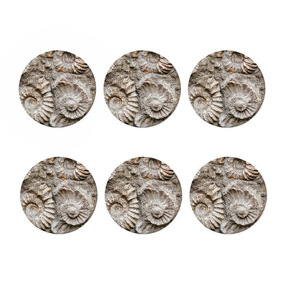Ammonoidea Fossil Print Coaster Set